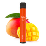 ELFBAR 600 - E-Zigarette/Shisha (0mg Nikotin)