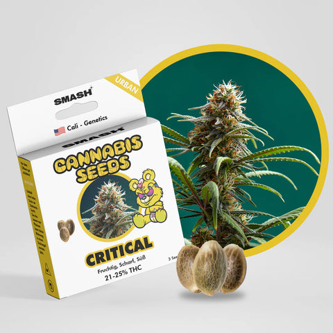 SMASH – CRITICAL