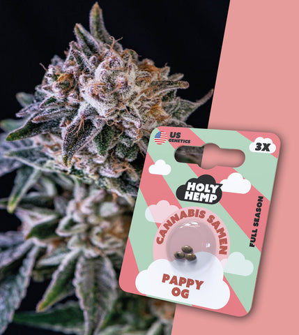 HOLY HEMP – PAPPY OG