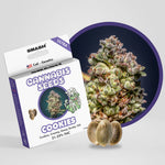 SMASH – COOKIES