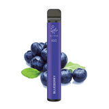 ELFBAR 600 - E-Zigarette / Shisha (0mg Nikotin)